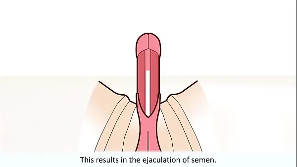 Big The male orgasm explained warm Tube
