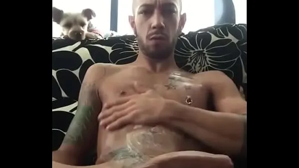 Lucky see his hot owner cums أنبوب دافئ كبير