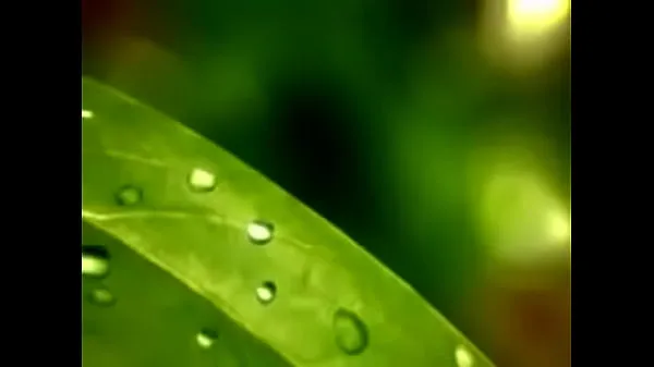 Short video clip-nature Tabung hangat yang besar