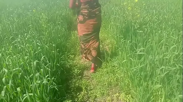 Velká Wheat Field Rubbing Ke Chod Dehati Video teplá trubice