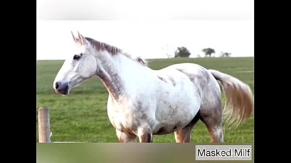 Horny Milf takes giant horse cock dildo compilation | Masked Milf Tiub hangat besar