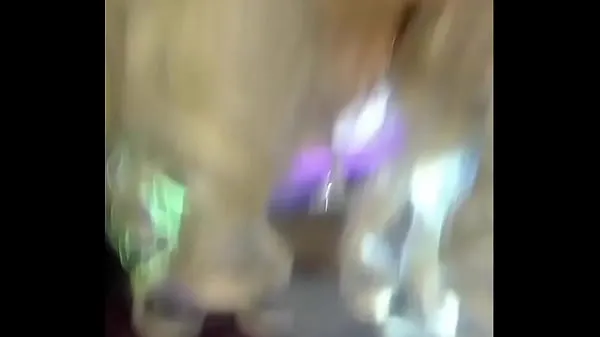 Duża SUCKING NORTH AMERICAN TOURIST , DAMN HIS COCK IS SO LONG AND PINK , HES SO TALL AND FIT I LOVE THOSE LONG MUSCLE LEGS AND HIS YELLOW SMELLY PUBIC HAIR (COMMENT,LIKE,SUBSCRIBE AND ADD ME AS A FRIEND FOR MORE PERSONALIZED VIDEOS AND REAL LIFE MEET UPS ciepła tuba