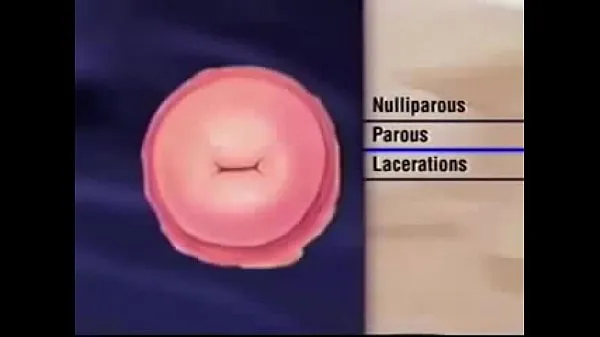 Stort Female Vagina And Anus Check varmt rör