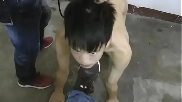 Smooth Asian Slave Doggy Trainning Tabung hangat yang besar